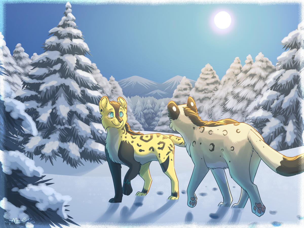 Gifted to Frankie by Anders